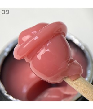 Полігель Art Polygel 15 мл №09